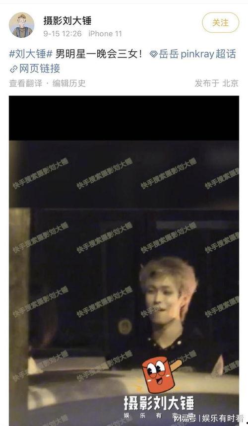 刘大锤独家爆料视频全集,揭秘视频全集背后的惊人真相  第2张